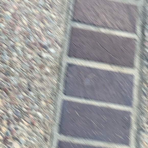 snaeemi510
